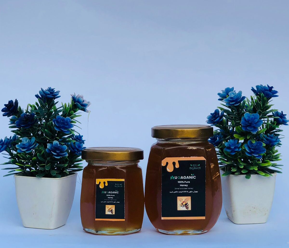 fresh organic honey Auraganic pure honey – chemical-free small bee honey in glass jar